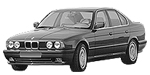 BMW E34 P2989 Fault Code
